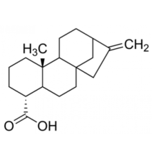 Кауреновая кислота 95% (ЖХ / МС-ELSD) Sigma SMB00177