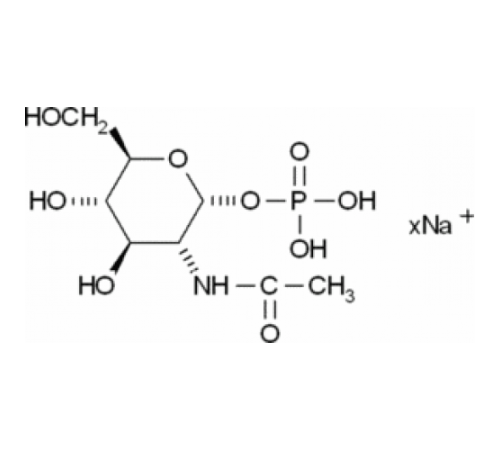 Динатриевая соль N-ацетиββ D-глюкозамин-1-фосфата 95% Sigma A2142 Динатриевая соль N-ацетиββ D-глюкозамин-1-фосфата 95% Sigma A2142