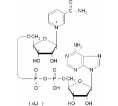 βНикотинамид-аденин-динуклеотид литиевая соль из Saccharomyces cerevisiae 95% Sigma N7132 βНикотинамид-аденин-динуклеотид литиевая соль из Saccharomyces cerevisiae 95% Sigma N7132