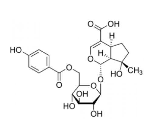 6 '- (п-Гидроксибензоил) муссаенозидовая кислота 95% (ЖХ / МС-ELSD) Sigma SMB00159 6 '- (п-Гидроксибензоил) муссаенозидовая кислота 95% (ЖХ / МС-ELSD) Sigma SMB00159