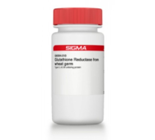 Глутатионредуктаза из зародышей пшеницы типа II, 0,08 мкг / мг белка Sigma G6004 Глутатионредуктаза из зародышей пшеницы типа II, 0,08 мкг / мг белка Sigma G6004