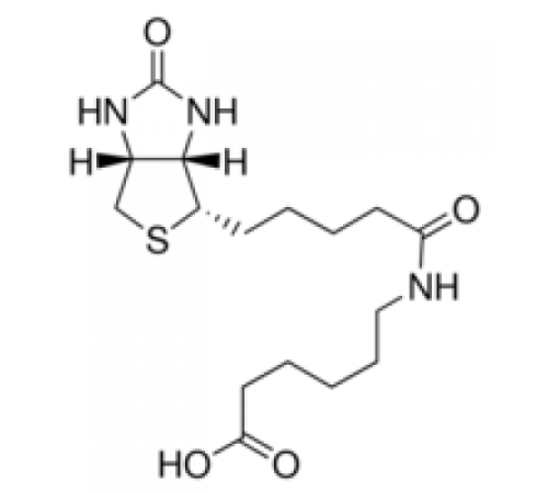 β (+β Биотинил-6-аминогексановая кислота 97,0% (ВЭЖХ) Sigma 14407 β (+β Биотинил-6-аминогексановая кислота 97,0% (ВЭЖХ) Sigma 14407