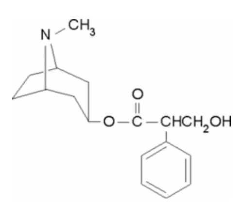 L-Гиосциамин 98% (ТСХ), порошок Sigma H9002 L-Гиосциамин 98% (ТСХ), порошок Sigma H9002