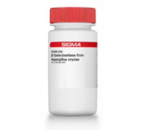 βГалактозидаза из Aspergillus oryzae 8,0 Единиц / мг твердого вещества Sigma G5160 βГалактозидаза из Aspergillus oryzae 8,0 Единиц / мг твердого вещества Sigma G5160