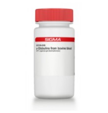 βГлобулины из бычьей крови 97% (электрофорез в агарозном геле) Sigma G7516