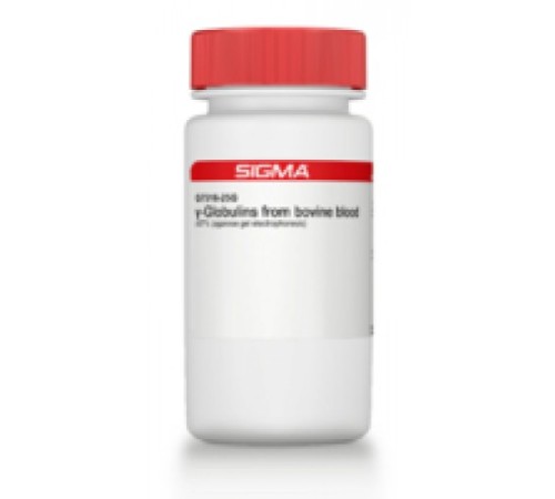 βГлобулины из бычьей крови 97% (электрофорез в агарозном геле) Sigma G7516 βГлобулины из бычьей крови 97% (электрофорез в агарозном геле) Sigma G7516