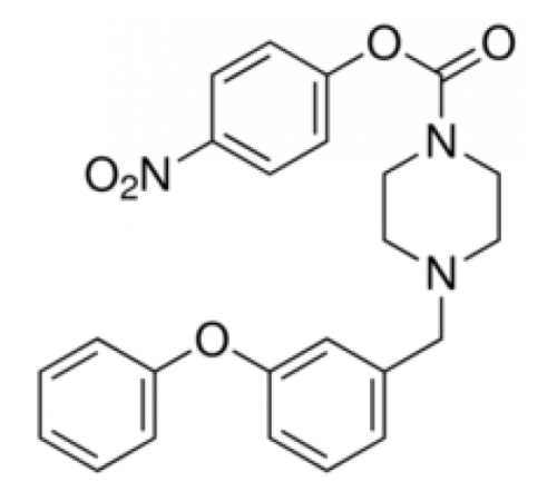 JZL195 98% (ВЭЖХ) Sigma SML0257 JZL195 98% (ВЭЖХ) Sigma SML0257
