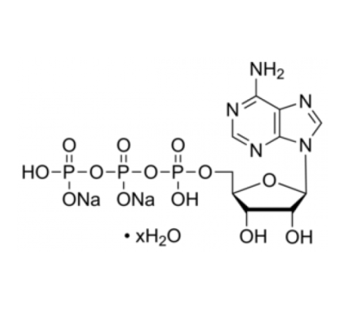 Гидрат динатриевой соли аденозин-5'-трифосфата BioXtra, 99% (ВЭЖХ), из микробной Sigma A7699 Гидрат динатриевой соли аденозин-5'-трифосфата BioXtra, 99% (ВЭЖХ), из микробной Sigma A7699