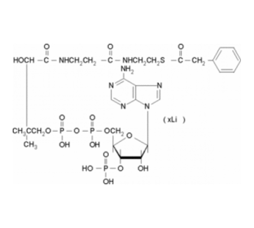 Литиевая соль фенилацетил-кофермента А ~ 95% Sigma P2153 Литиевая соль фенилацетил-кофермента А ~ 95% Sigma P2153
