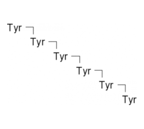 Тир-Тир-Тир-Тир-Тир-Тир 98% (ВЭЖХ) Sigma T1780 Тир-Тир-Тир-Тир-Тир-Тир 98% (ВЭЖХ) Sigma T1780