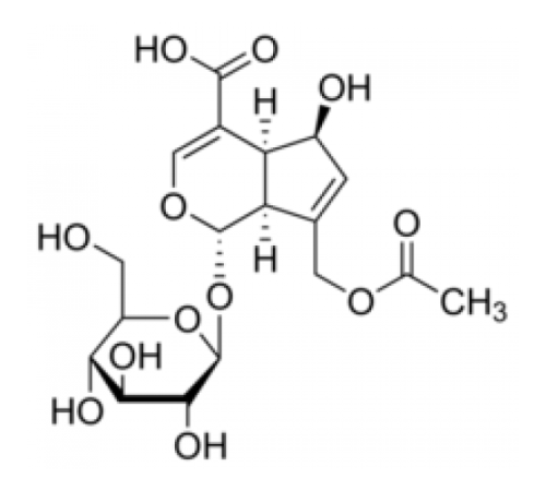 Асперулозидовая кислота 90% (ЖХ / МС-ELSD) Sigma SMB00153 Асперулозидовая кислота 90% (ЖХ / МС-ELSD) Sigma SMB00153