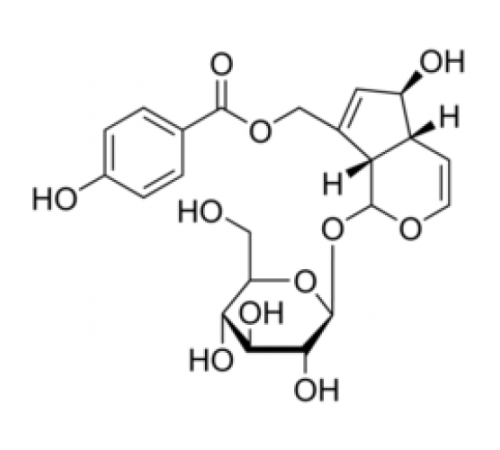 Агнусид 95% (ЖХ / МС-ELSD) Sigma SMB00189 Агнусид 95% (ЖХ / МС-ELSD) Sigma SMB00189