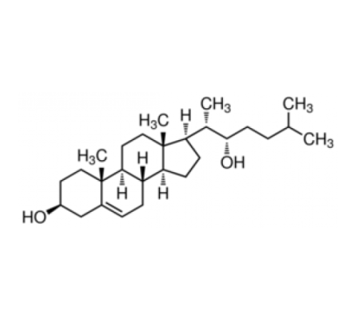 22 (SβГидроксихолестерин Sigma H5884 22 (SβГидроксихолестерин Sigma H5884
