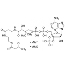 Кофермент ацетоацетил Кофактор гидрата натриевой соли для переноса ацила Sigma A1625