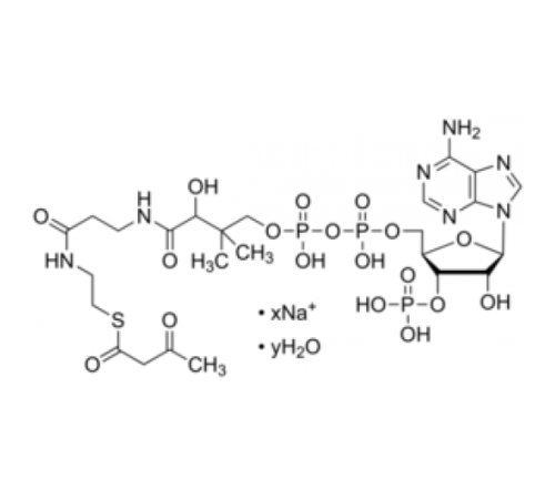 Кофермент ацетоацетил Кофактор гидрата натриевой соли для переноса ацила Sigma A1625 Кофермент ацетоацетил Кофактор гидрата натриевой соли для переноса ацила Sigma A1625