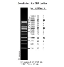 Маркер длин ДНК GeneRuler 1 kb, 10 фрагментов от 250 до 10000 п.н., 0,5 мкг/мл, Thermo FS