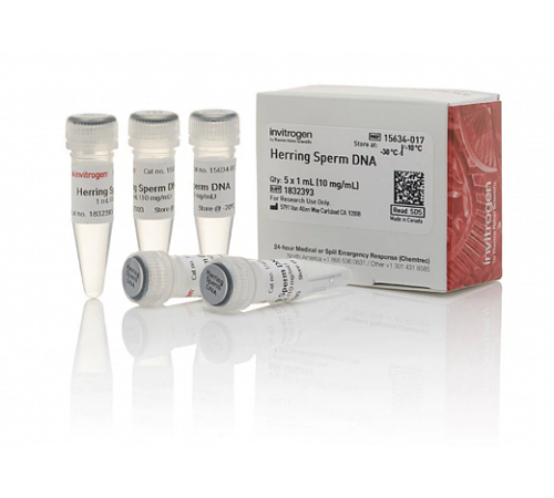 Раствор ДНК спермы сельди/Herring Sperm DNA Solution, UltraPure, Thermo FS