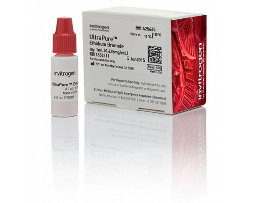 Краситель Ethidium Bromide, 0,625 mg/mL, UltraPure, Thermo FS