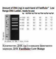 Маркер длин ДНК, FastRuler Low Range, 5 фрагментов от 50 до 1500 п.н., готовый к применению, Thermo FS