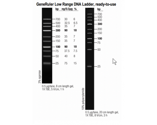 Маркер длин ДНК GeneRuler Low Range, 10 фрагментов от 25 до 700 п.н., готовый к применению, 0,1 мкг/мкл, Thermo FS